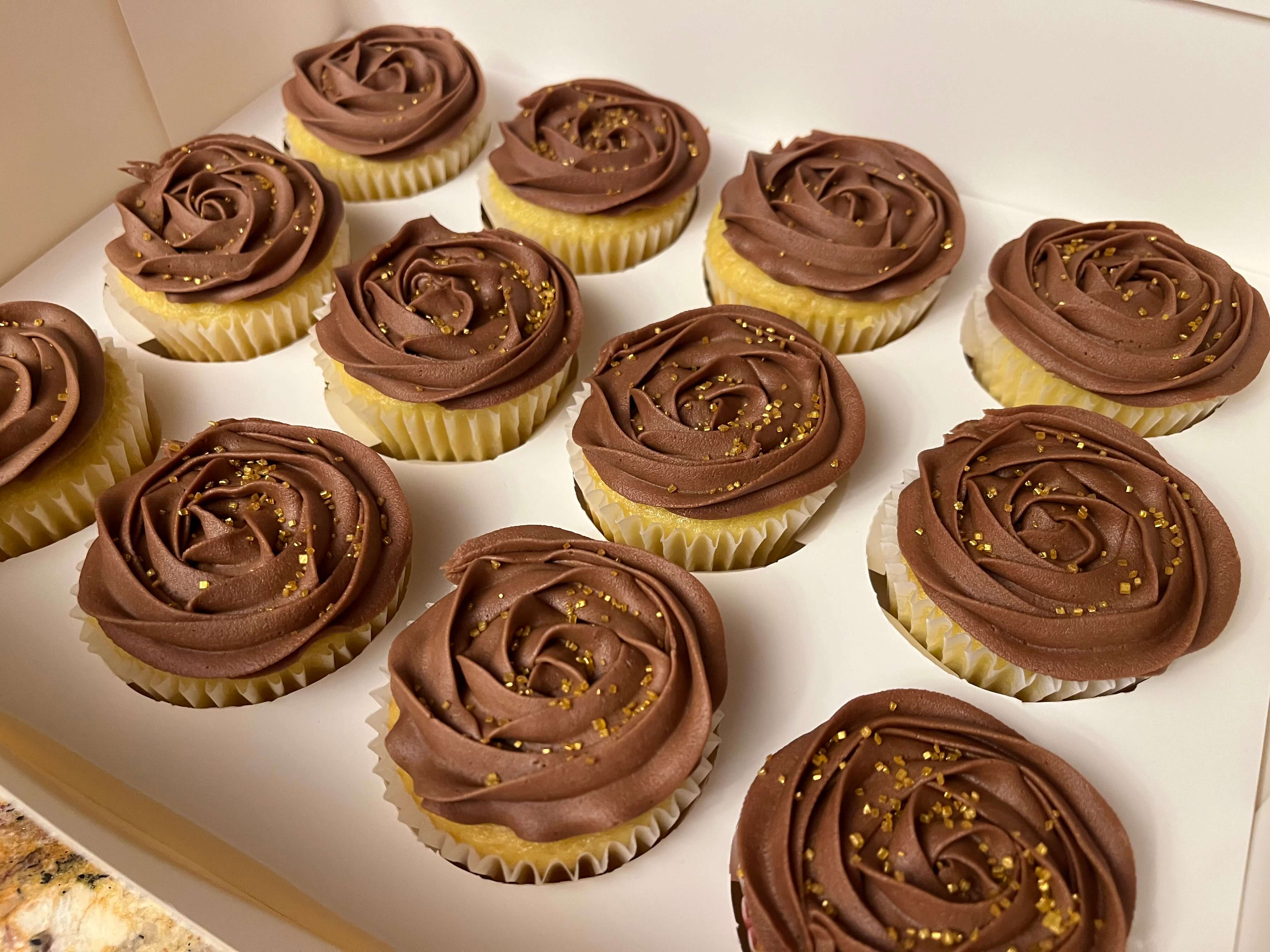 Decorated vanilla cupcakes with chocolate frosting rose swirled on top